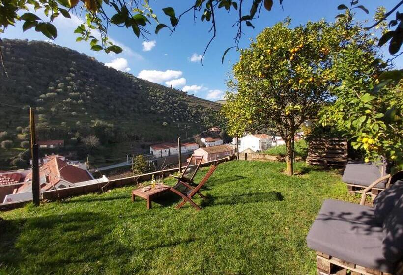 Hostel Douro Backpackers