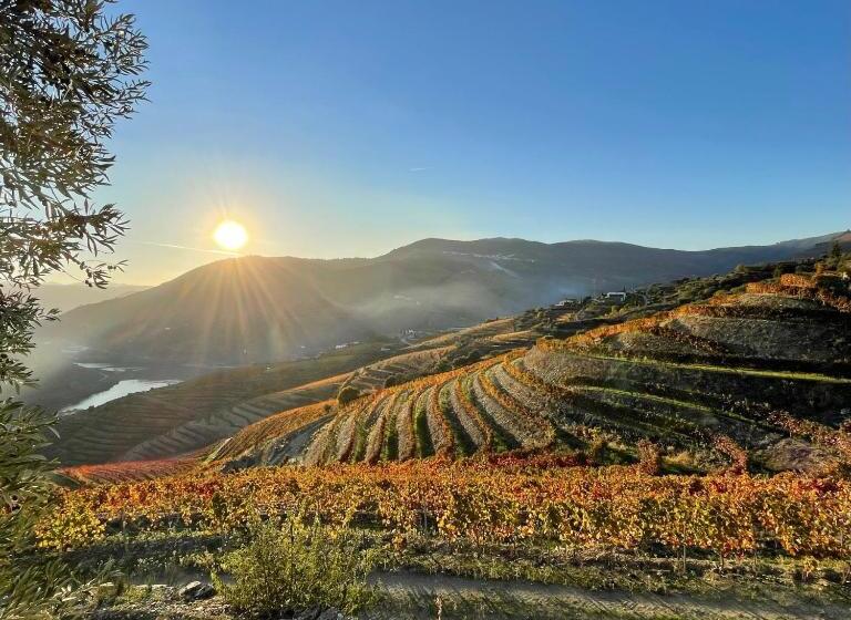 Hostel Douro Backpackers