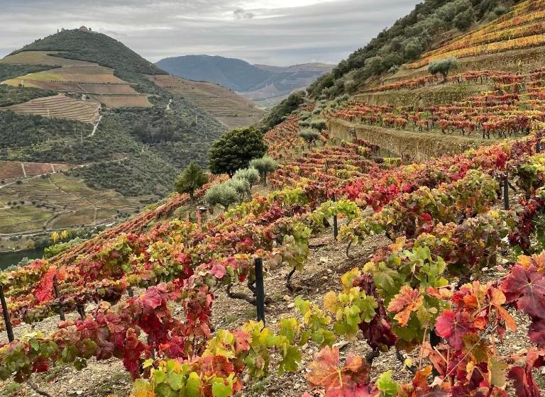 Hostel Douro Backpackers