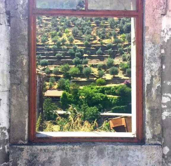 Hostel Douro Backpackers