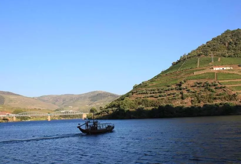 Hostel Douro Backpackers