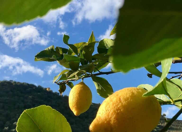 Hostel Douro Backpackers