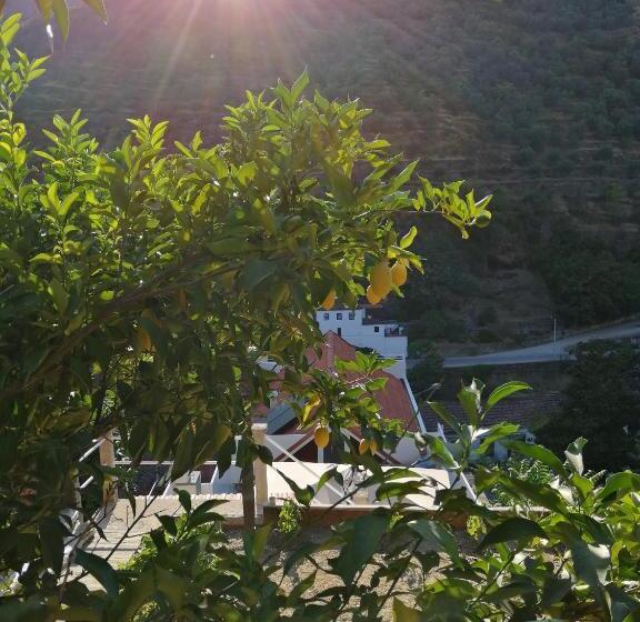 Hostel Douro Backpackers