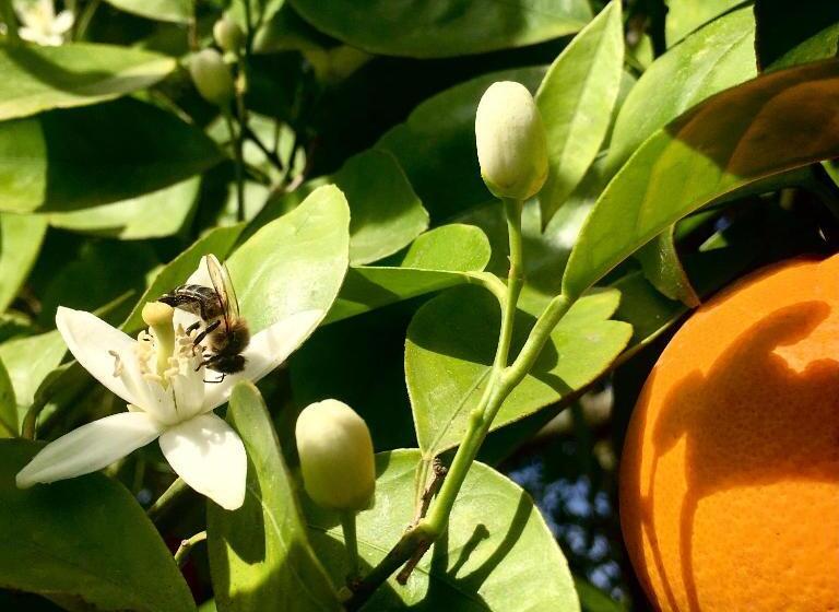 Hostel Douro Backpackers