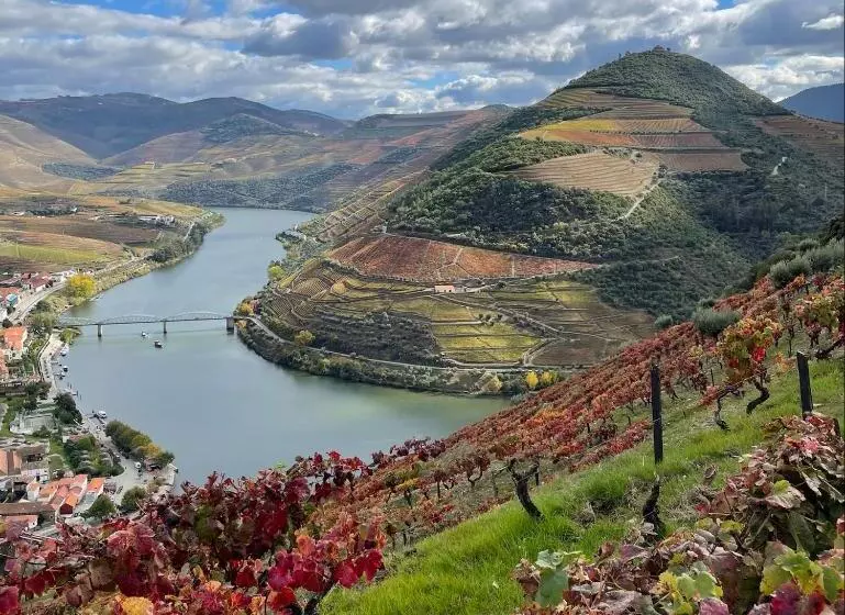 Hostel Douro Backpackers