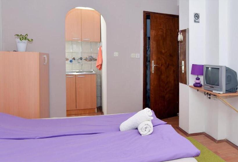 تختخواب و صبحانه Apartments Villa Saray