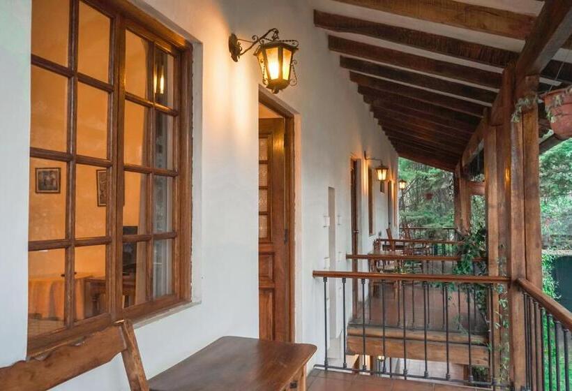 هتل El Patio De Monterrey