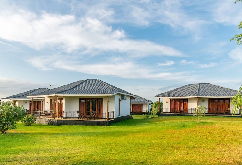 호텔 Moyoni Airport Lodge