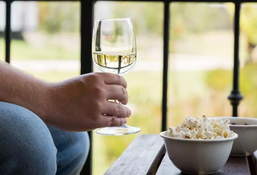 هتل Moyoni Airport Lodge