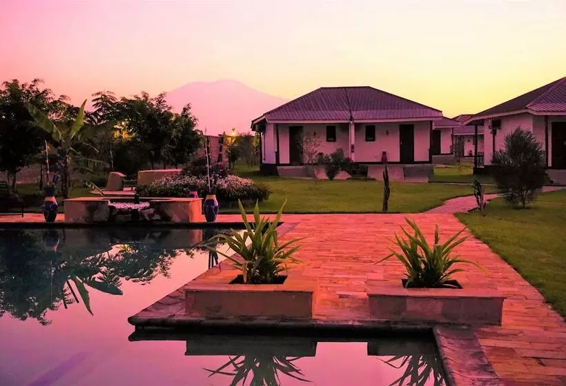 هتل Moyoni Airport Lodge