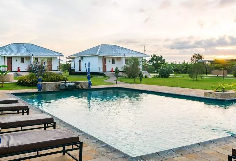 هتل Moyoni Airport Lodge