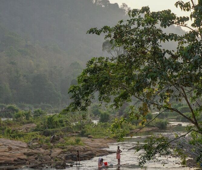 בית מלון כפרי Willow Heights