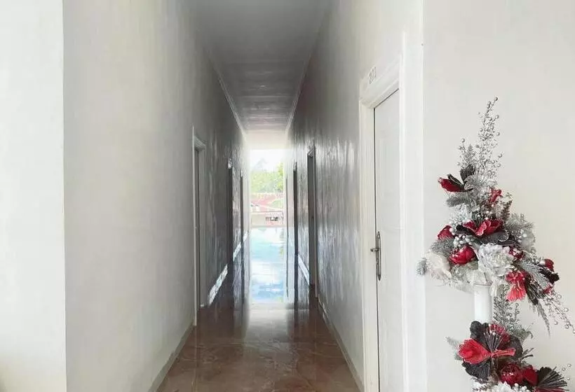 ホテル Wisma Maestro Toraja Mitra Reddoorz