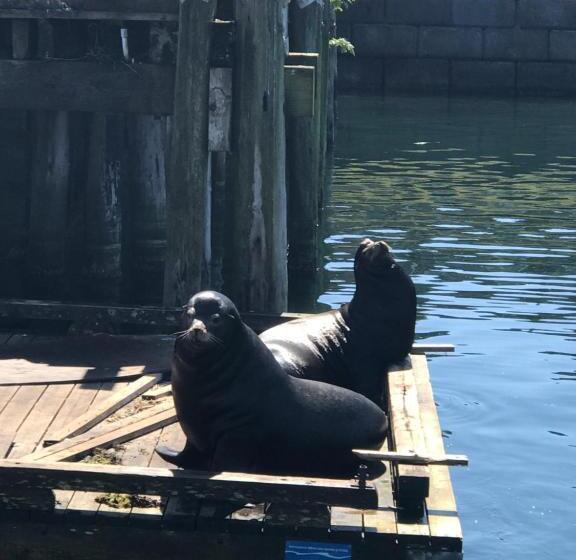 فندق على الطريق Island West Resort