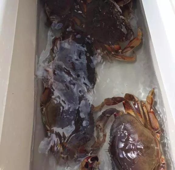 Motelli Island West Resort