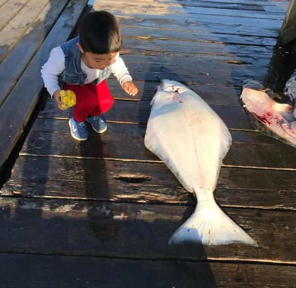 فندق على الطريق Island West Resort