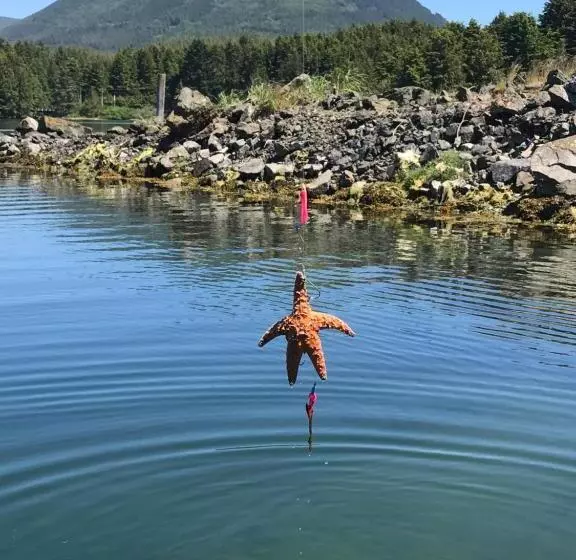 Motelli Island West Resort