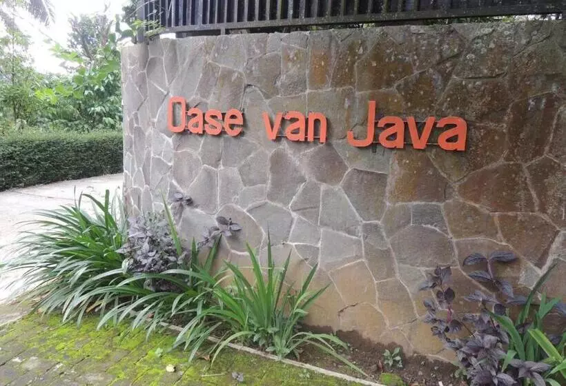 Pension Oase Van Java