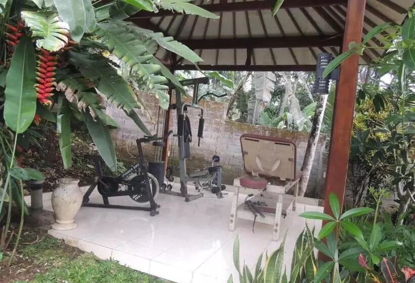 Pension Oase Van Java