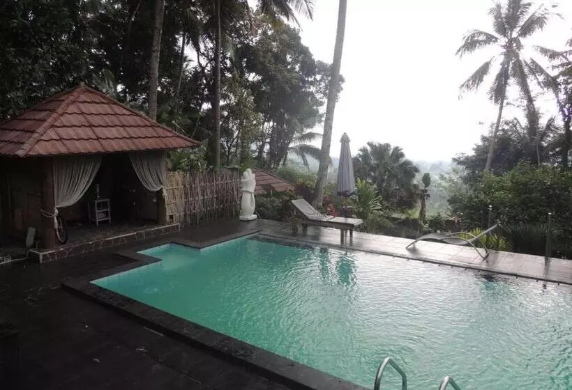 Pension Oase Van Java