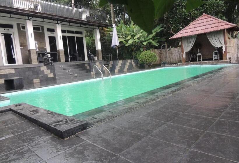 Pensiune Oase Van Java