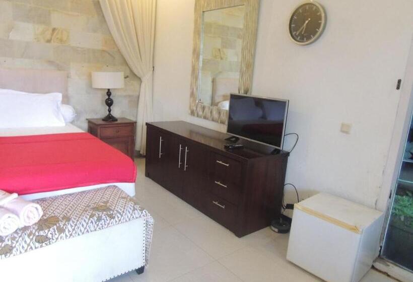 Pensiune Oase Van Java