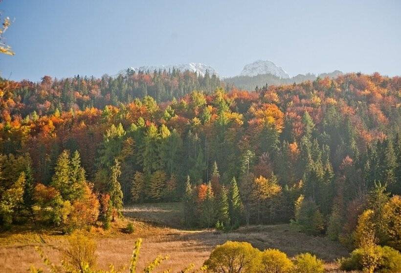 Pensionat Willa Bachledowka