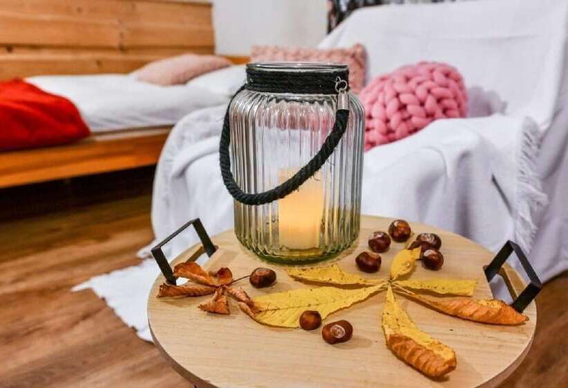 Pensionat Willa Bachledowka