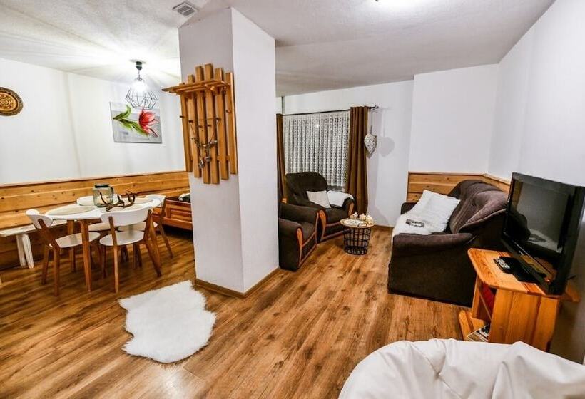 Pensionat Willa Bachledowka