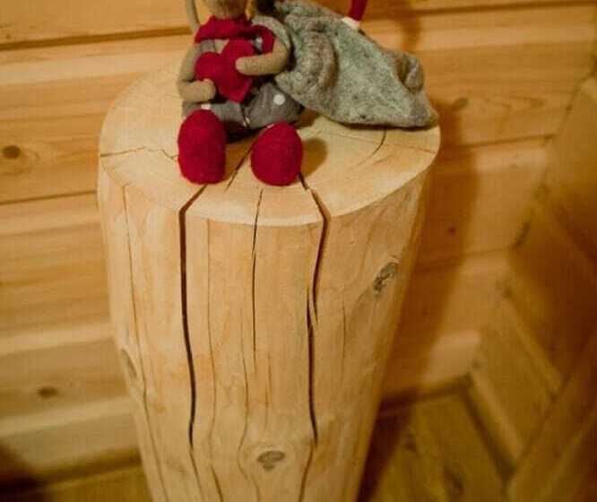 Pensionat Willa Bachledowka