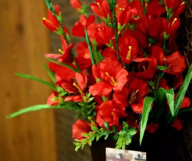 Hotelli Grand Oliver