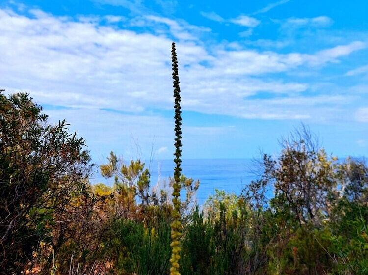 فندق ريفى Agriturismo Club Le Cannelle