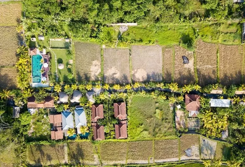 Hotelli Ubud Art Resort