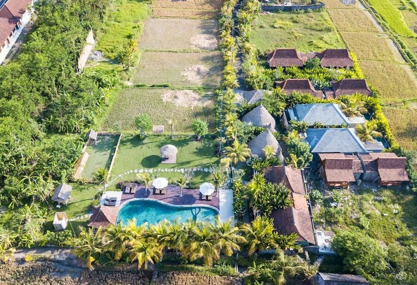 酒店 Ubud Art Resort