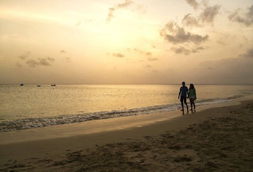 Отель Beach View