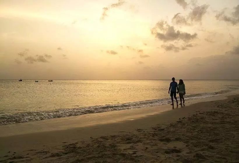 Отель Beach View