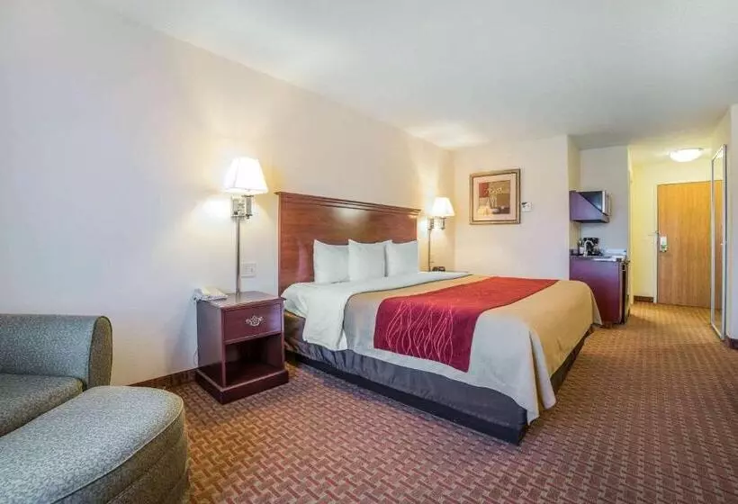 هتل Comfort Inn & Suites Rock Springs Green River