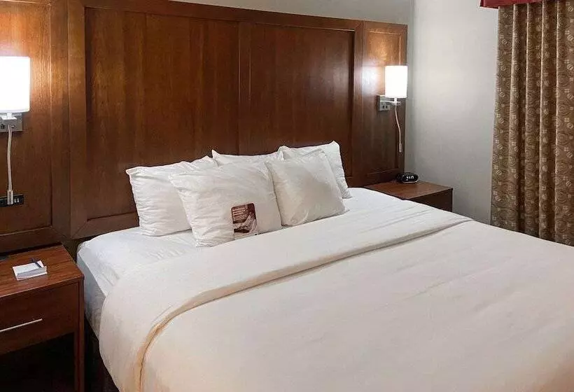 ホテル Comfort Suites Gallup East Route 66 And I40