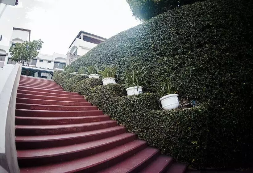 בית מלון כפרי Eh Ejecutivo Urban