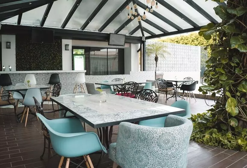 בית מלון כפרי Eh Ejecutivo Urban