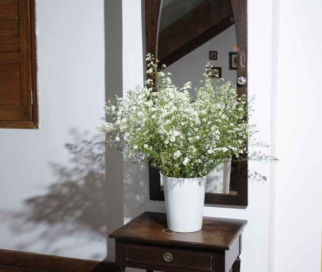 Отель Pousada Colonial