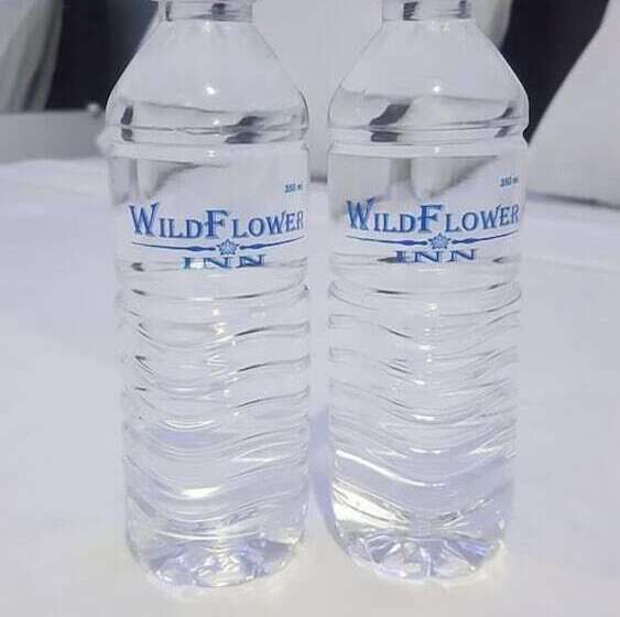 בית מלון כפרי Wildflower Inn