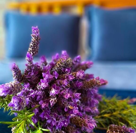 هتل Cabaña San Tony