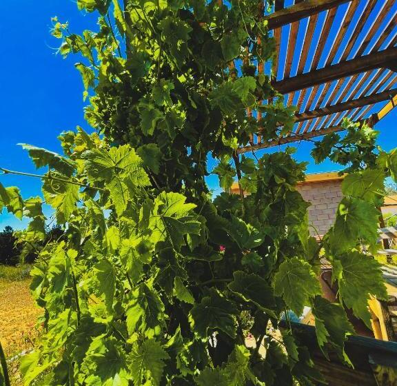 هتل Cabaña San Tony