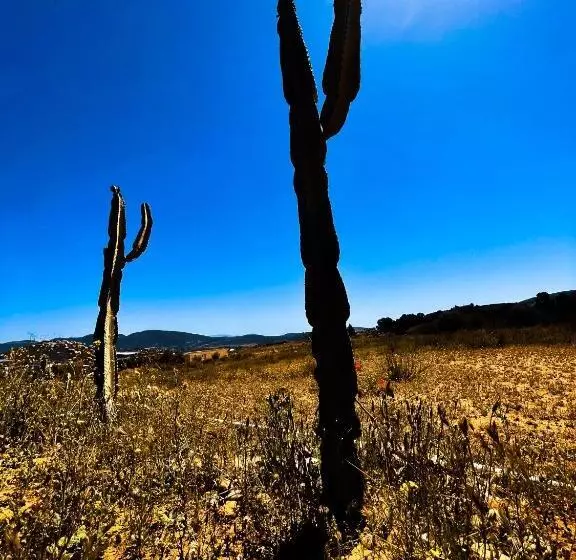 Hotelli Cabaña San Tony