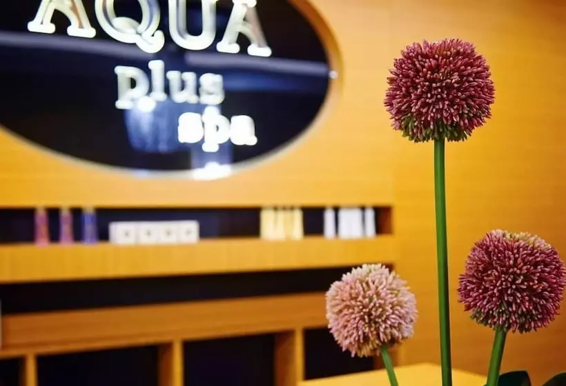 ホテル Real Konak