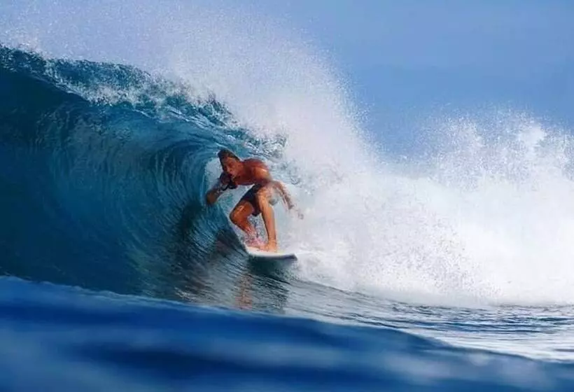 ペンション Adi Abian Villas