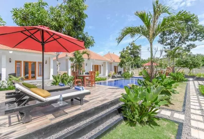 ペンション Adi Abian Villas