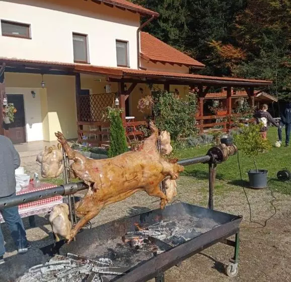 Pensiunea Rozelor Stațiunea Climaterică Sâmbăta