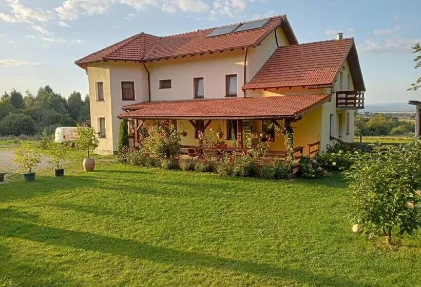 Pensiunea Rozelor Stațiunea Climaterică Sâmbăta